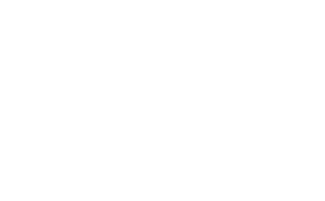 Team Horas Website Image